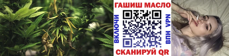 ОМГ ОМГ ссылка  Зеленоградск  ТГК концентрат 