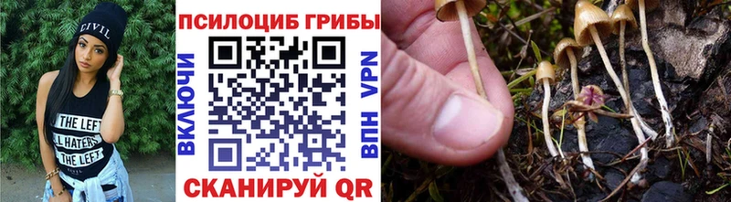 Галлюциногенные грибы мухоморы Зеленоградск