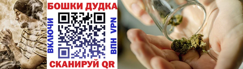 Шишки марихуана OG Kush  Зеленоградск 